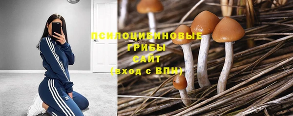 кокаин премиум Гусев