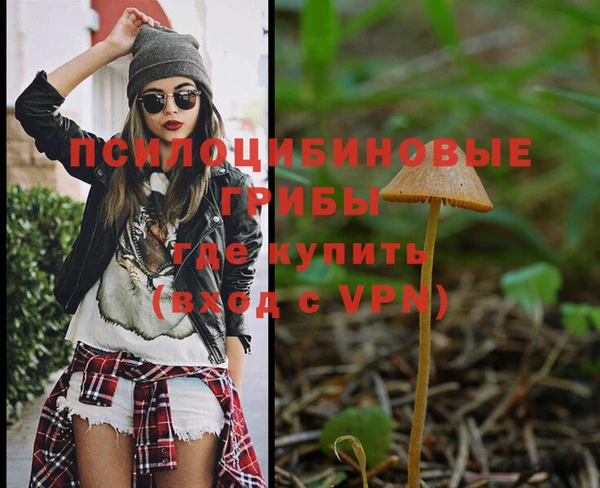 марки nbome Гусь-Хрустальный
