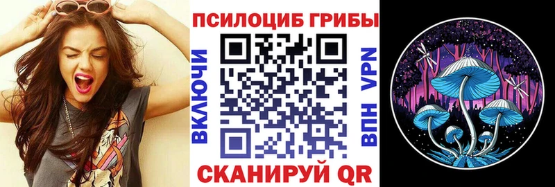 Галлюциногенные грибы Cubensis  Купить закладки  Красный Кут 